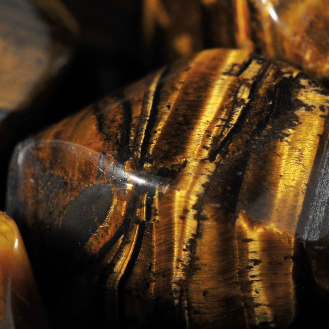 HolySing chaine de lunettes " Gimme Shelter "