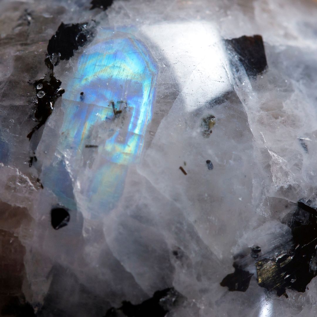 HolyCrunch Bracelet DOUCEUR